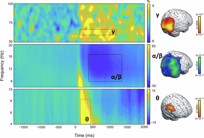 Fig. 3: Neural oscillatory responses to the abstract reasoning task.