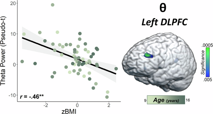 Fig. 4: Higher zBMI is associated with blunted theta oscillations in the left DLPFC.