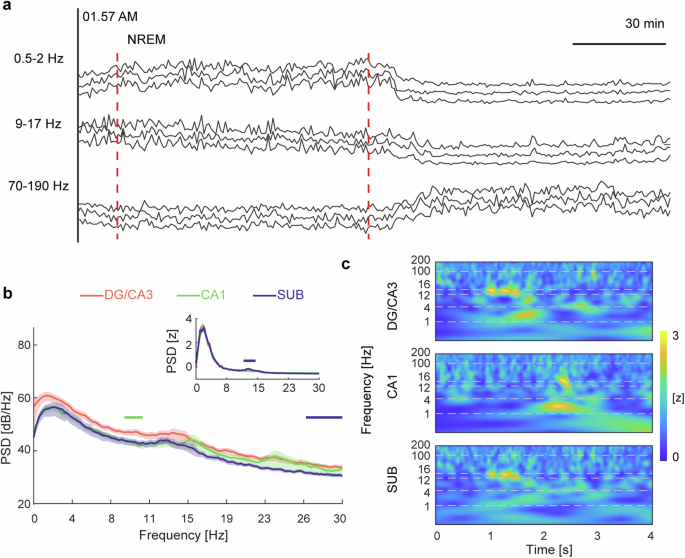 Fig. 1: Identification of NREM sleep, and spectra in DG/CA3, CA1, and SUB.