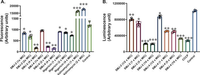 Fig. 2: SMJ-2 and SMJ-4 disturb the membrane potential and adenosine triphosphate (ATP) pool.