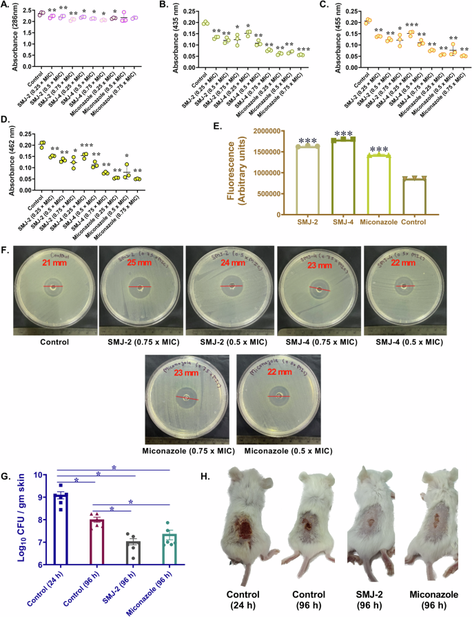Fig. 6: Staphyloxanthin inhibition causes oxidative stress on bacteria.