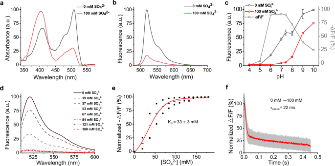 Fig. 2: Spectroscopic characterization of Thyone in solution.