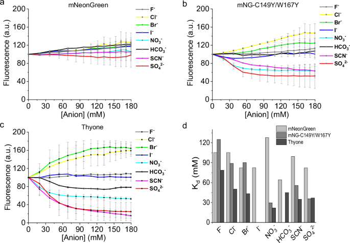 Fig. 3: Anion selectivity and sensitivity of mNeonGreen, mNG-C149Y/W167Y, and Thyone.