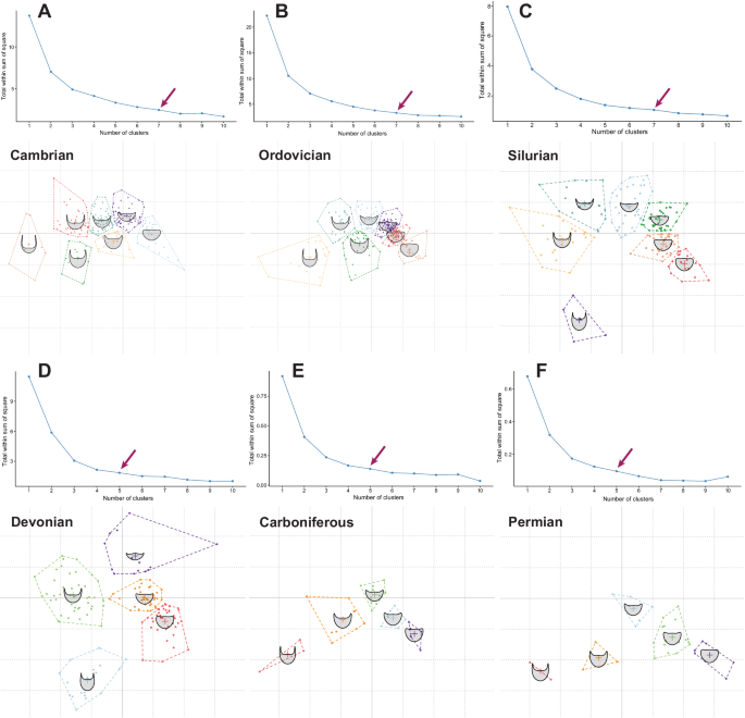 Fig. 10: K-means analysis displaying the natural clustering inherent in the trilobite cephalic outlines dataset, separated for each geological Period.