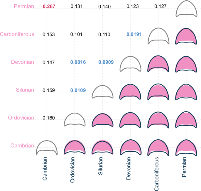 Fig. 7: Mean cephalic shape for each geological Period compared pairwise, and pairwise centroid distances for the same.