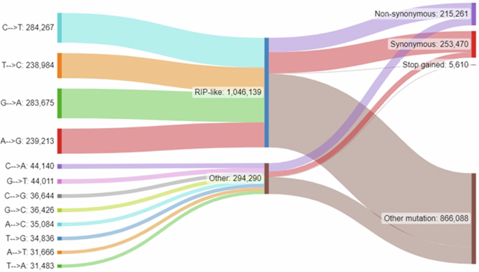 Fig. 3: Summary of SNP mutation sites (left) detected across the Parastagonospora nodorum pangenome relative to the Sn15 reference isolate.