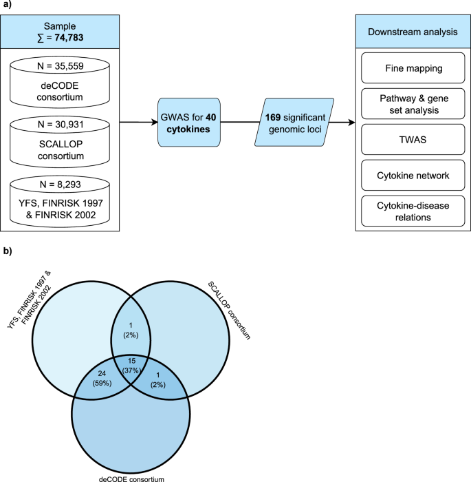 Fig. 1: Flowchart of the study design.
