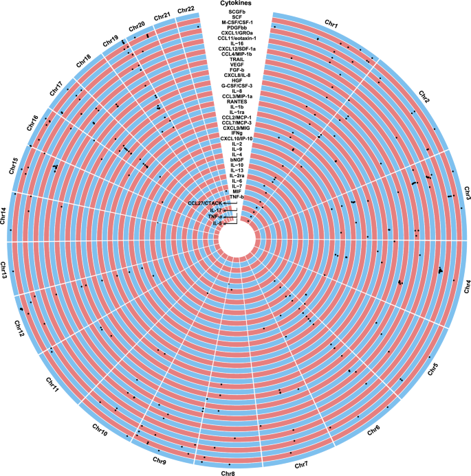 Fig. 3: Genetic architecture of the circulating levels of the 40 cytokines.