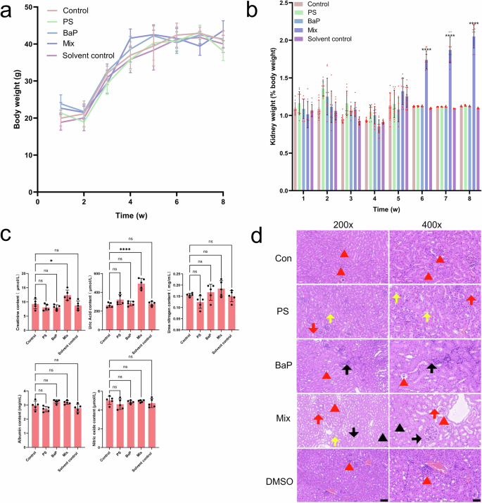 nebulized glutathione for pulmonary fibrosis Comprehensive review of potential drugs with anti-pulmonary fibrosis  properties