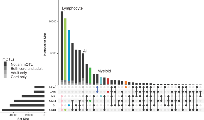 Fig. 4: DNA methylation differences between cord and adult blood cells by cell type and lineages.