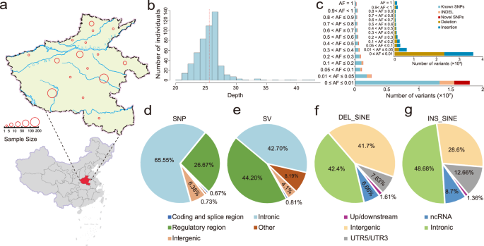 Fig. 1: Sample distribution and WGS data statistics in the CPHC.