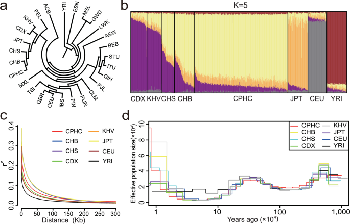 Fig. 3: Population structure and genetic diversity analysis.