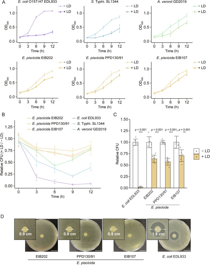 ArgR-dependent bacterial resistance to host lipid droplets in ...