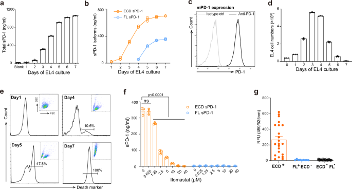 Fig. 4: sPD-1 production correlated with MMPs activity or PD-1+cell death.