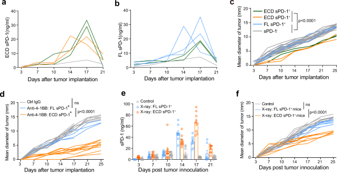 Fig. 6: Correlation sPD-1 levels with tumor growth in untreated, anti-4-1BB or radiation-treated tumor models.