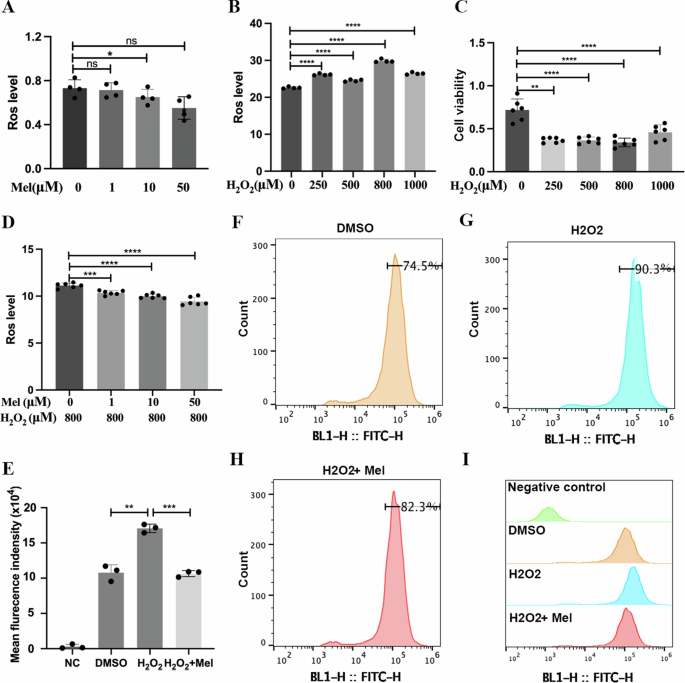 Fig. 5: Melatonin can attenuate H2O2-induced oxidative stress damage in HTR-8/SVneo cells.