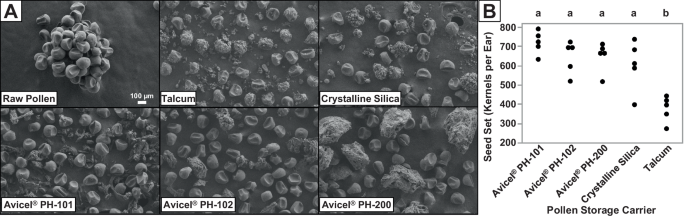 Fig. 4: Stored pollen interaction with carrier compounds and the impact on seed set.