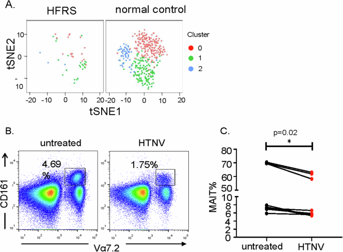 Fig. 2: HTNV infection caused deficiency of MAIT cells.