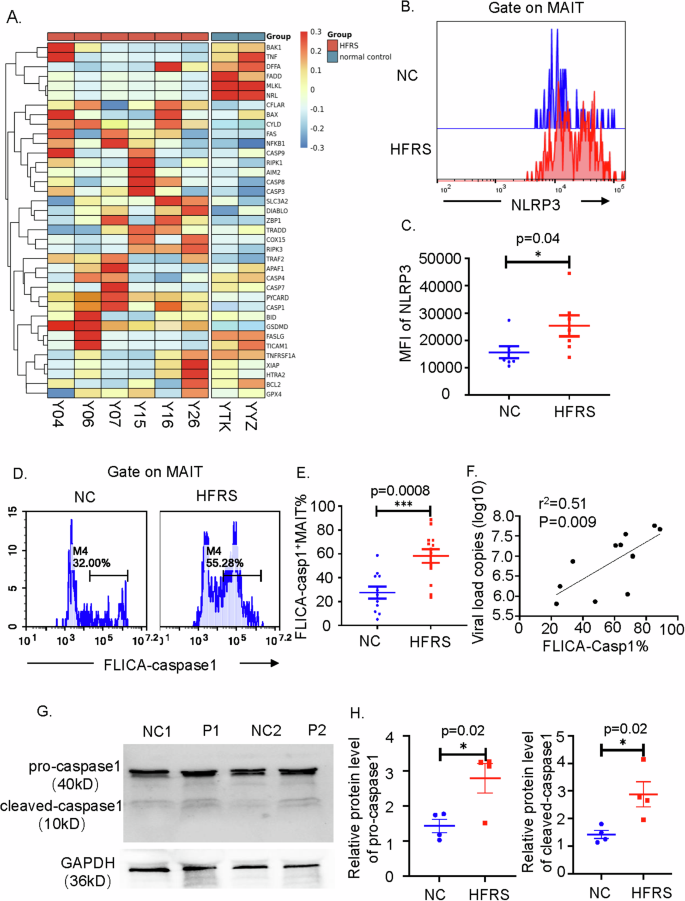 Fig. 3: The Caspase 1-mediated cell death was the main reason of the MAIT cells reduction in HFRS patients.