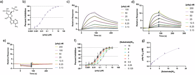 Fig. 4: In vitro characterization of pAp.