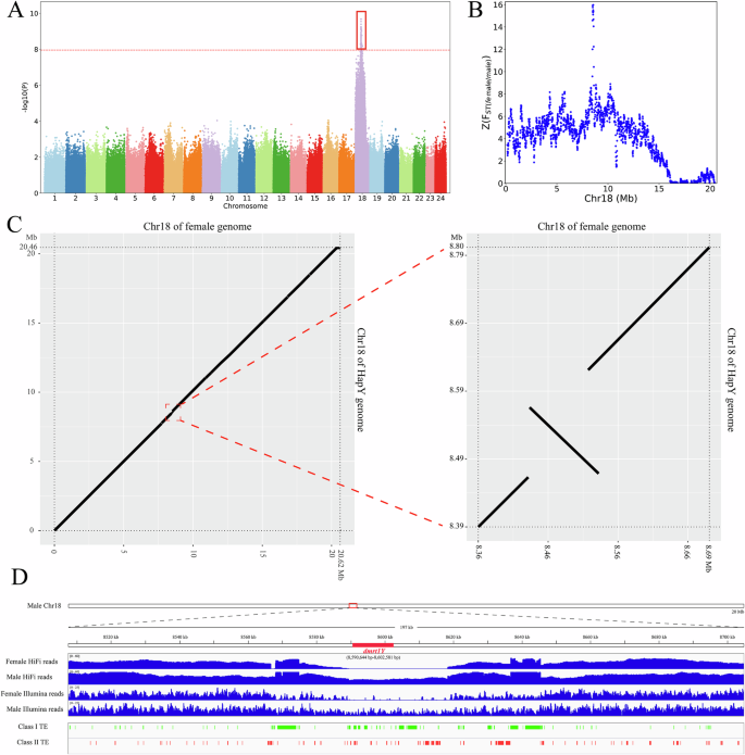Fig. 3: Mapping of the sex determining locus in Se. multifasciata.