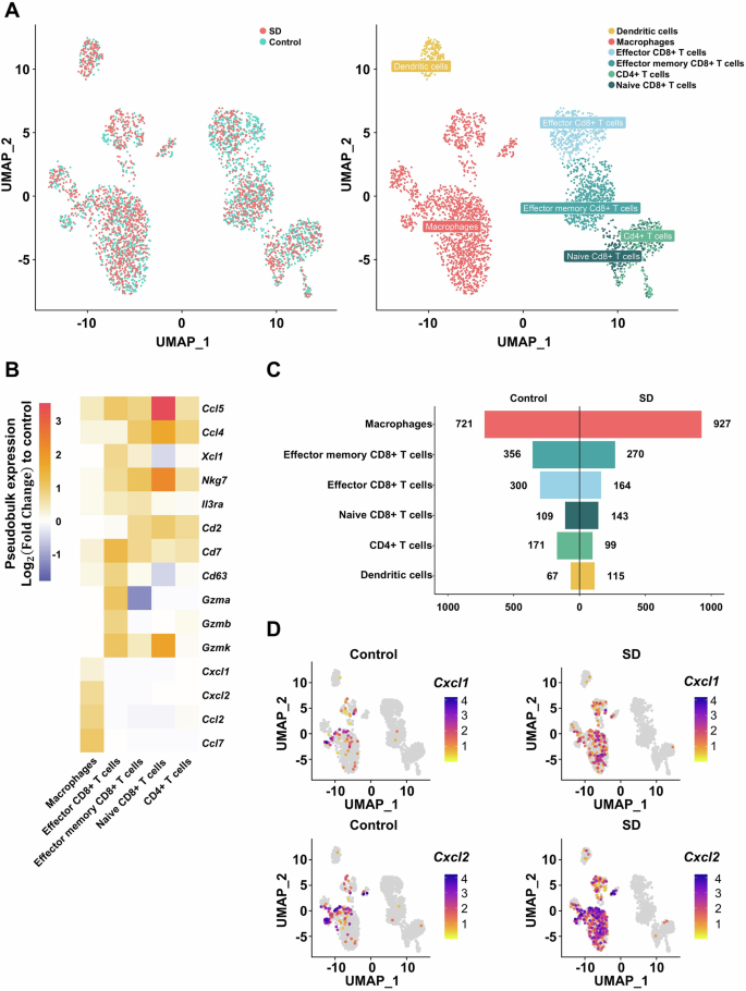 Fig. 6: Subgroup of T cells and monocyte analysis.