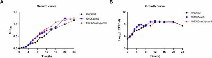 Fig. 2: Effect of type I-Fa cas3 on the growth of A. baumannii.