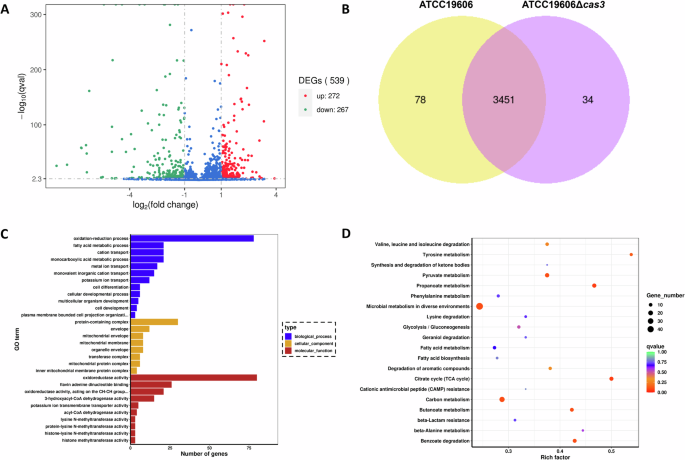 Fig. 7: Transcriptome analysis of ATCC19606 and 19606Δcas3.