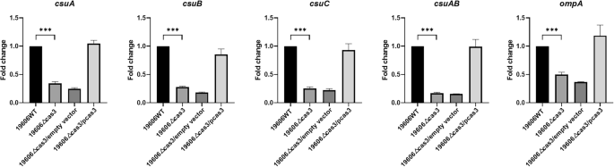 Fig. 8: Detection of virulence-associated genes expression in A. baumannii 19606WT, 19606Δcas3, 19606Δcas3/empty vector, and 19606Δcas3/pcas3 strains by qRT-PCR.