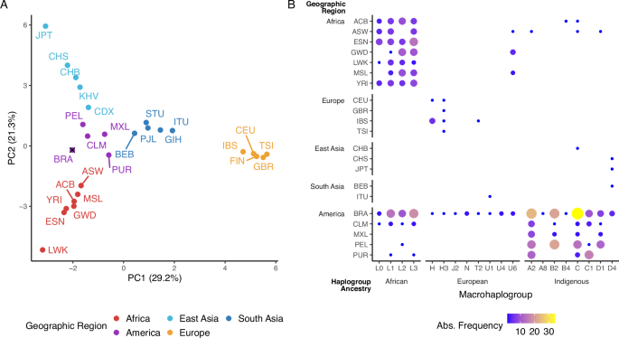 Fig. 4: Worldwide analysis of haplogroups representation.