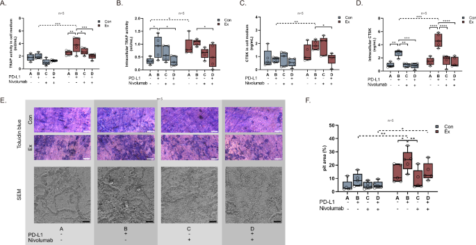 Fig. 6: PD-1/PD-L1 signaling and osteoclast function.