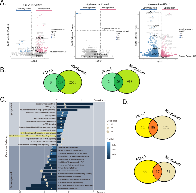 Fig. 7: RNA sequencing and bioinformatic analysis.