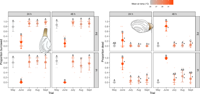 Fig. 2: Clam reburrowing and mortality rates.