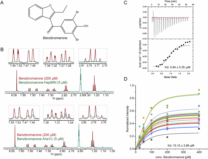 Fig. 1: Benzbromarone interacts with both Hsp90-NTD and Aha1-CTD.