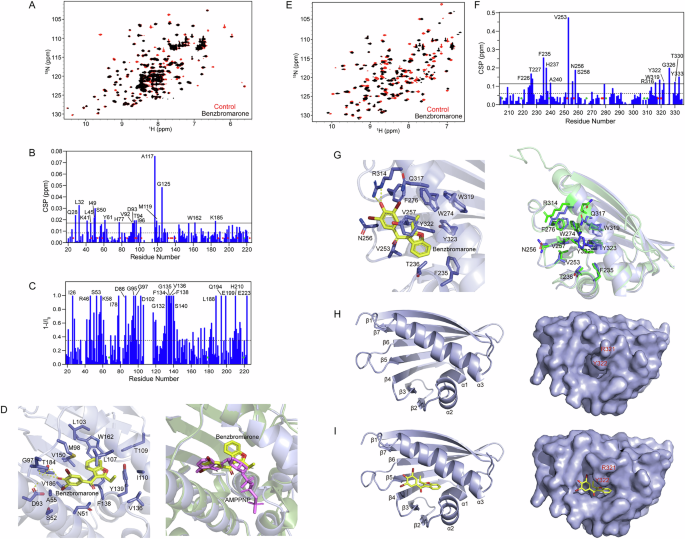 Fig. 2: Characterization of the interactions between Benzbromarone and Hsp90-NTD/Aha1-CTD.