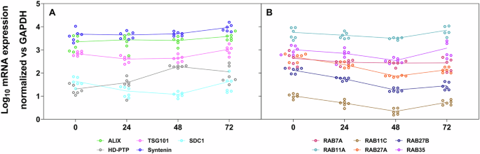 Fig. 1: Expression of genes coding for proteins involved in exosome biogenesis and trafficking in human hepatocytes.