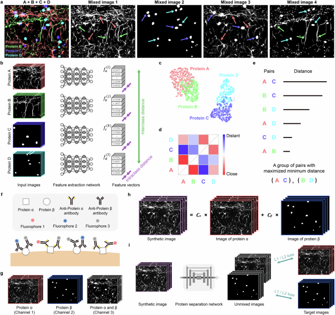 Fig. 1: The overall framework of SEPARATE.
