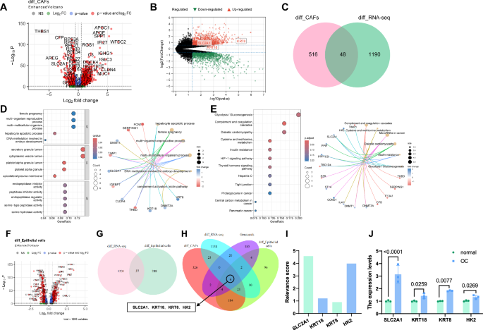 Fig. 2: Screening of key OC genes based on single-cell sequencing and transcriptome sequencing analysis.