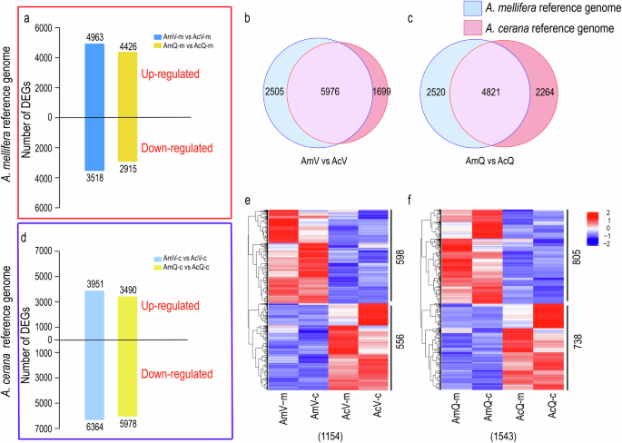 Fig. 2: Transcriptome data analysis results.