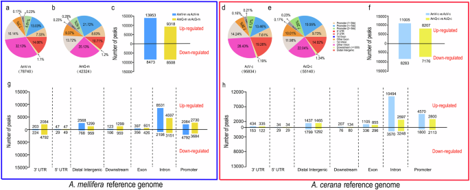 Fig. 3: ATAC-seq data analysis results.