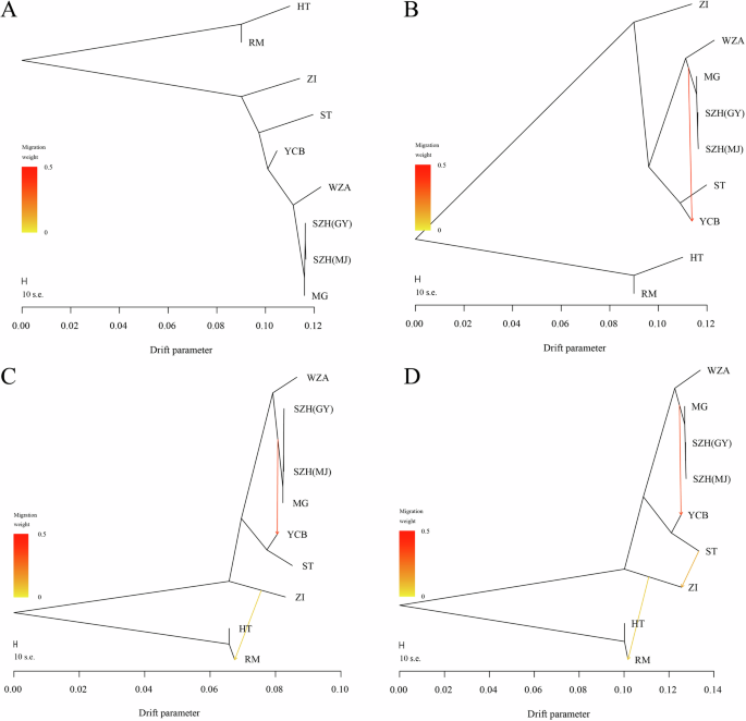 Fig. 3: Treemix analysis of 167 modern domesticated geese.