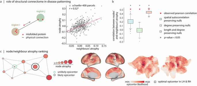 Fig. 2: Structural connectivity shapes ALS-related atrophy.