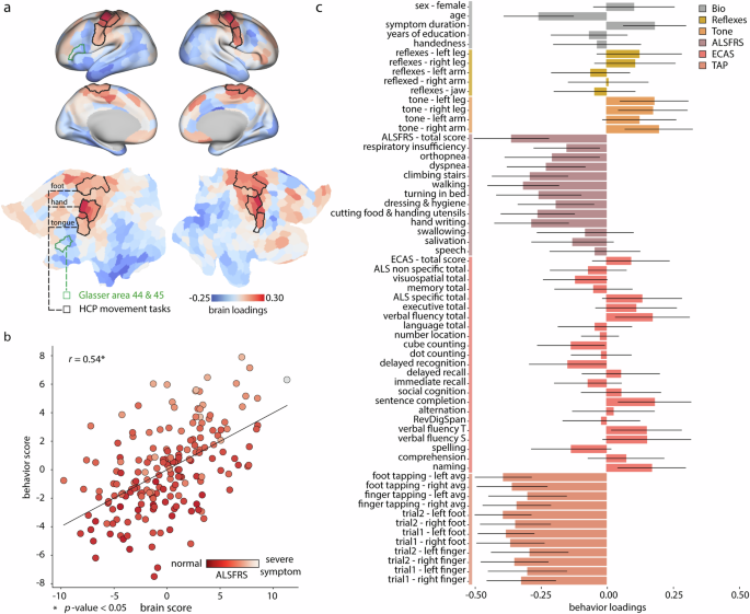 Fig. 5: Relating individual epicenter maps with clinical and behavioral measures.
