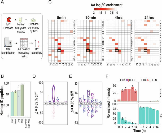 Fig. 4: Characterization of Mpro substrate specificity.