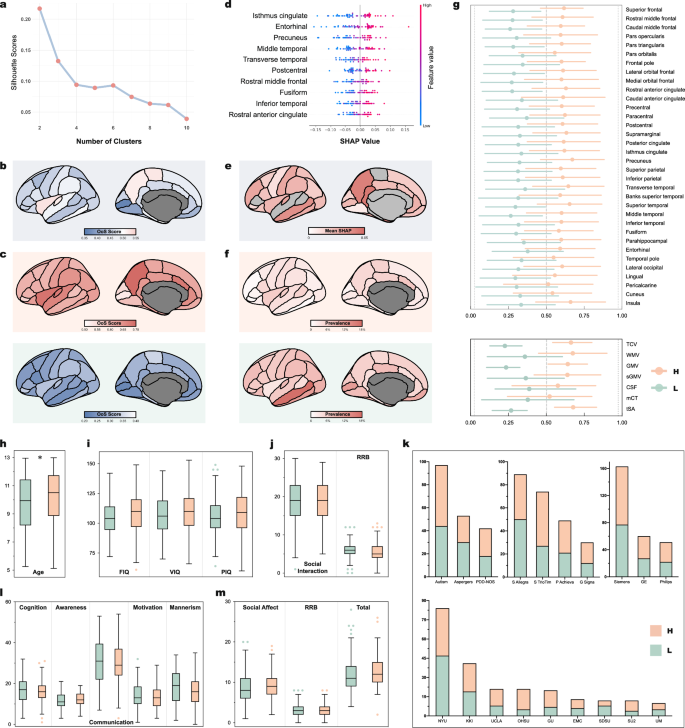 Fig. 1: Clustering-derived subgroups reveal distinct brain morphological patterns in ASD from ABIDE dataset.