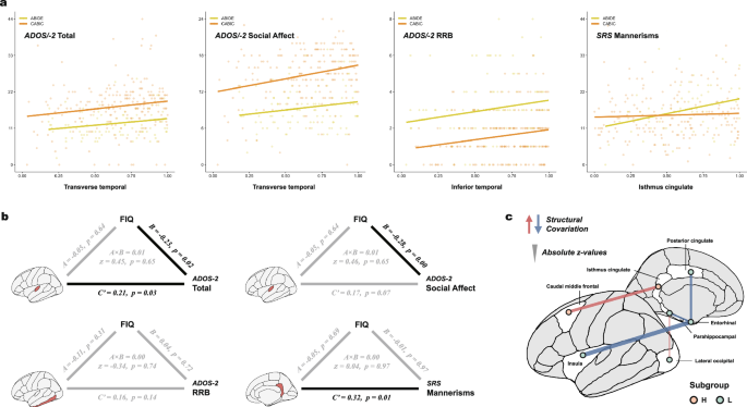 Fig. 2: Brain-behavior correlations and structural covariations of Out-of-Sample scores.
