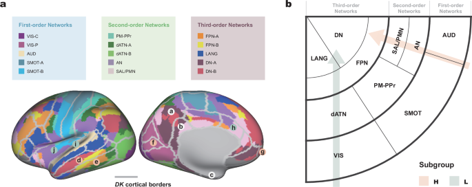 Fig. 3: The theoretical brain functional network impairment model of two ASD subgroups.