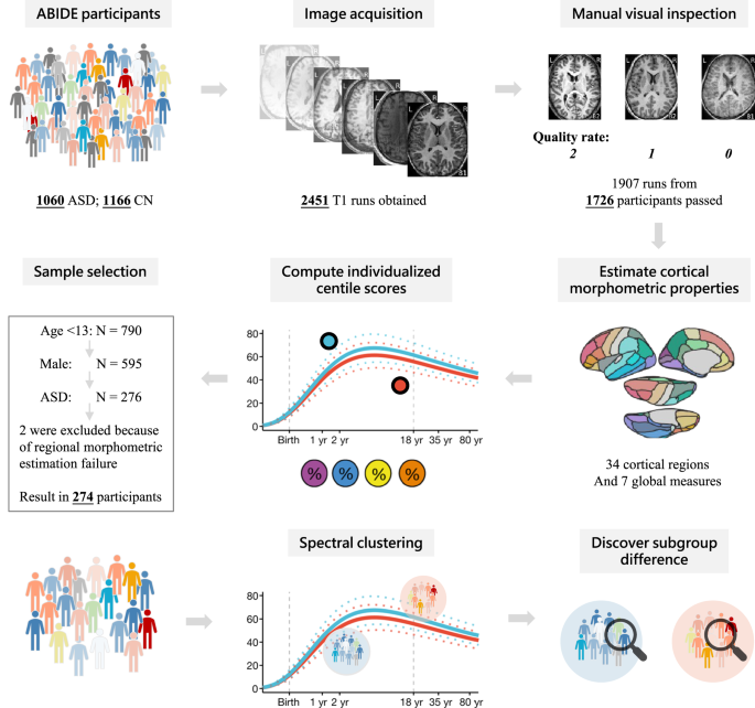 Fig. 4: General analytic flow in this study.