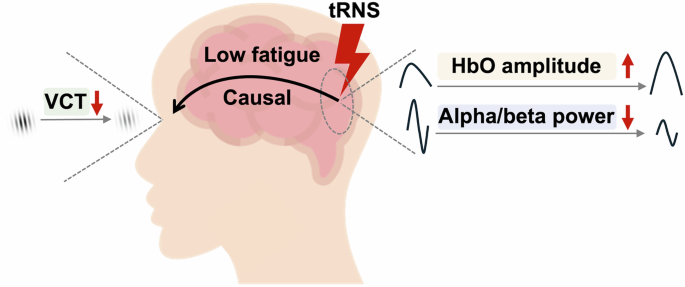 Fig. 1: A schematic summary of our key findings.