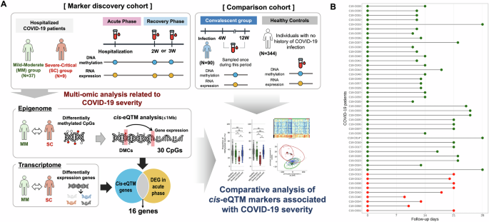 Fig. 1: Overall study design and follow-up blood sample collection for cis-eQTM analysis in COVID-19 patients.